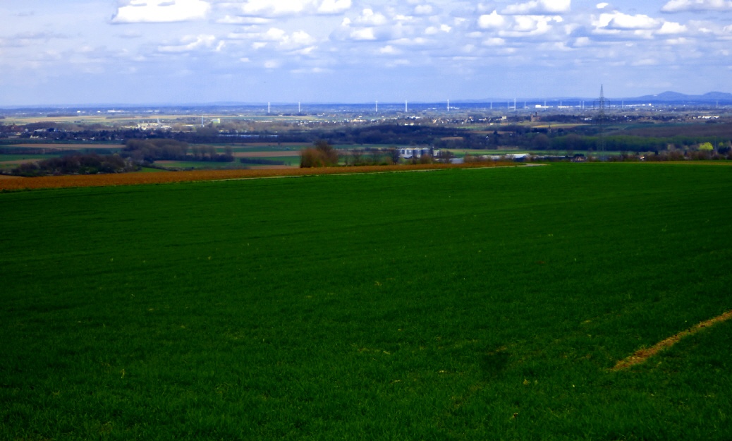 Im Hintergrund rechts das Siebengebirge bei Bonn