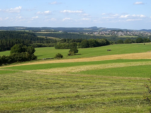 Vor Blankenheim, Blick zum Michelsberg